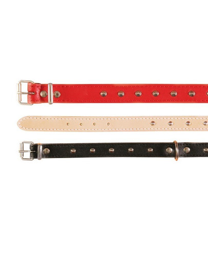 TRIXIE Obojok Basic s kamienkami (XS) 21-25 cm / 12 mm