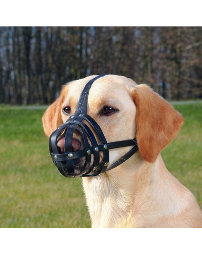 TRIXIE Náhubok kožený Julius-K9 S-M