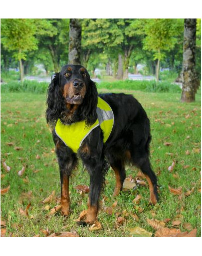 ZOLUX Reflexná vesta Canisport & XL zelená