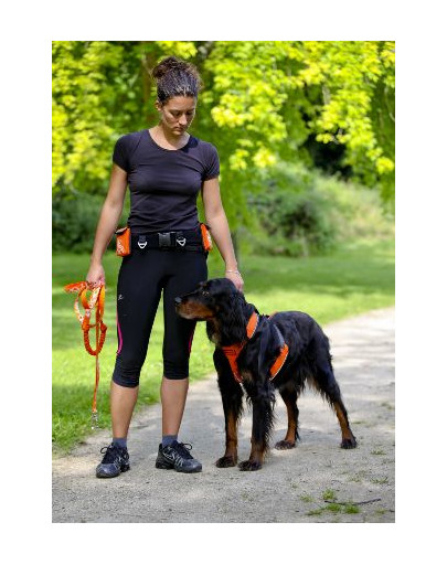 ZOLUX Postroj pre psov na behanie  Canisport& XL zelený
