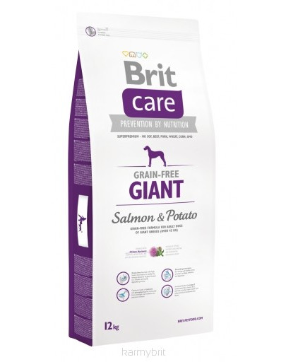BRIT Care Dog Grain-Free Giant Salmon & Potato 1kg
