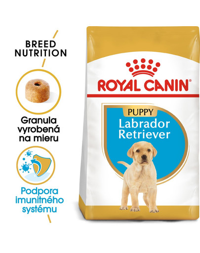 ROYAL CANIN Labrador Puppy 3 kg granule pre šteňa labradora