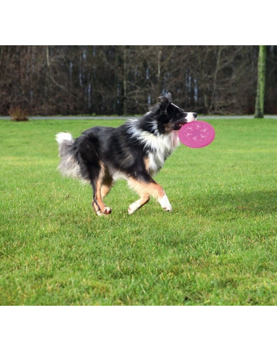 TRIXIE Svieťací Dog Disc ružový Ø 20 cm