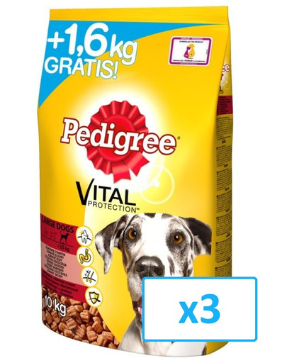 PEDIGREE Wołowina duże rasy 10 kg x 3 (30 kg)