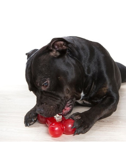 COMFY Zabawka Strong Dog Bone 16,5cm