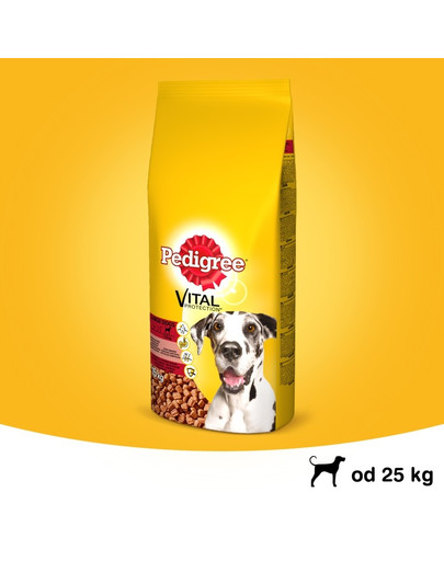 PEDIGREE Dry adult large dog hovädzie 15 kg