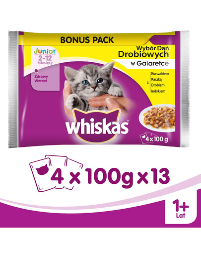 WHISKAS Junior Drób w galaretce 4x100g x13