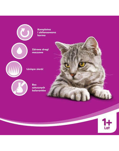WHISKAS Krémová polievka s hovädzím mäsom 85 Gr