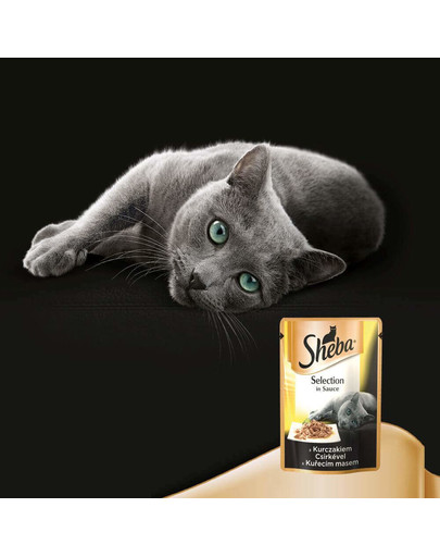 SHEBA Cusin s kuracím mäsom 85g x12