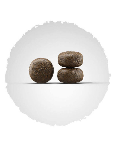 JOSERA Light & Vital 4 kg