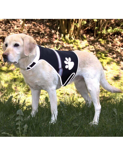 TRIXIE Reflexná vesta Flash USB, M: 42-62 cm