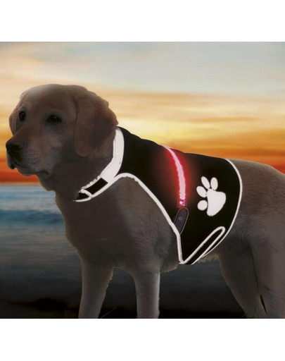 TRIXIE Reflexná vesta Flash USB, M: 42-62 cm