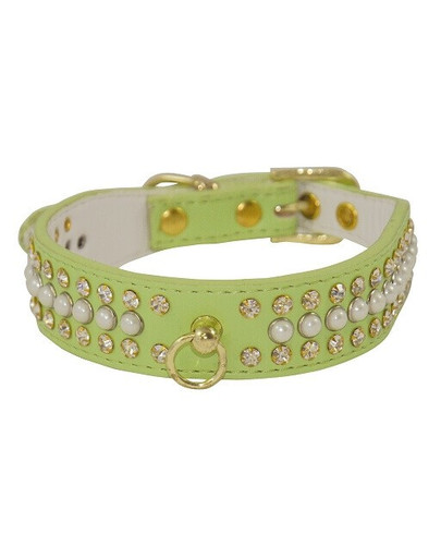 LOLO PETS Obojok S zelený 25mm X 40cm