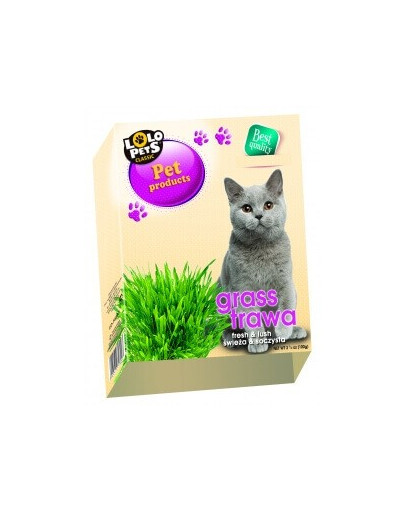 Lolo PETS Tráva pre mačky  v zásobníku- 36ks
