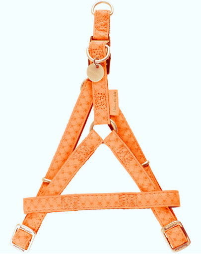 ZOLUX Postroj pre psov regulovateľný Mac Leather 10 mm oranžový
