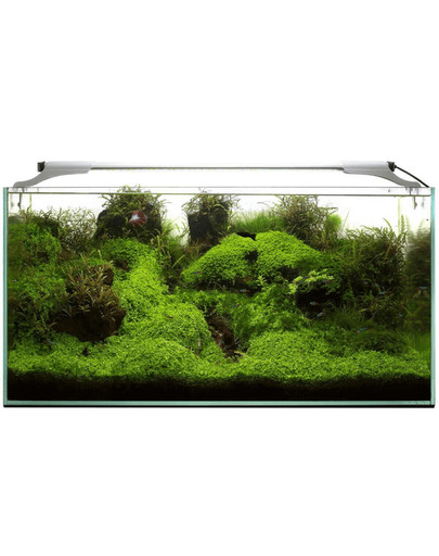 AQUAEL Leddy Slim 36W Marine 100-120 cm