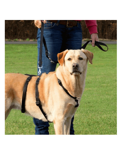 TRIXIE Postroj pre psov Stay L-XL: 75-100 cm / 25 mm