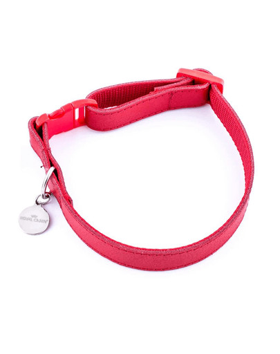 ROYAL CANIN Obojok veľký