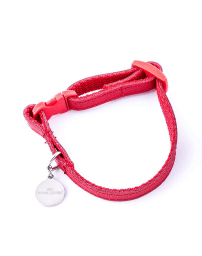 ROYAL CANIN obojok malý