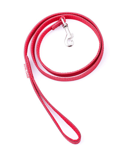 ROYAL CANIN Remienok malý