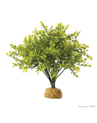 ExoTerra Umelá rastlina - Boxwood Bush