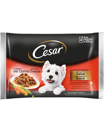 CESAR Výber chutí v omáčke 52x100g