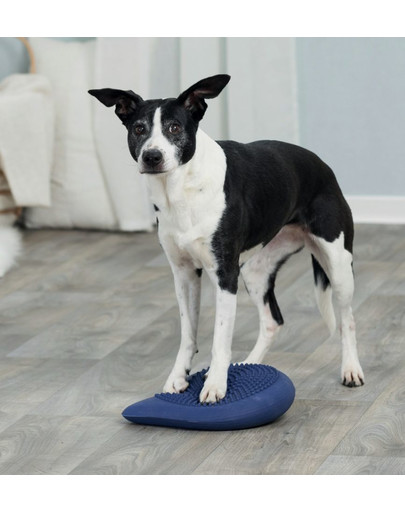 TRIXIE Poduszka do ćwiczenia równowagi Dog Activity, 28 × 4 × 28 cm