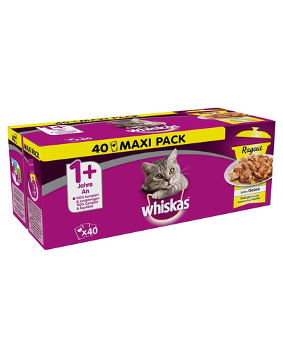 WHISKAS Whiskas Wet Food Ragout krmivo pre mačky v želé hydina 40x85g + 1 sáčok zadarmo