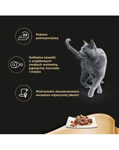 SHEBA Selection in Sauce šťavnaté príchute 12 x 85 g