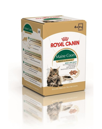 ROYAL CANIN Mainecoon 85 g saszetka 6x85 g
