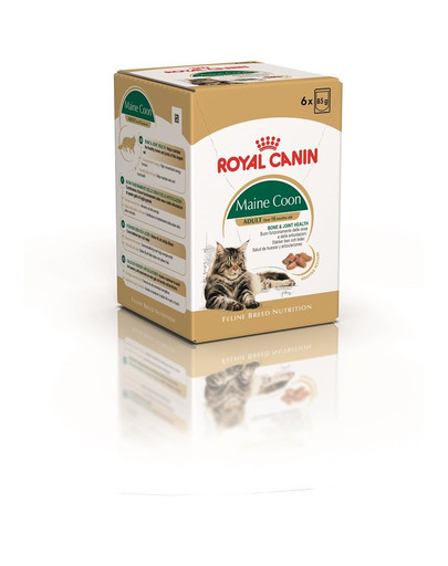 ROYAL CANIN Mainecoon 85 g saszetka 6x85 g