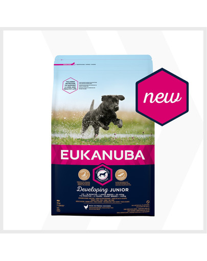 EUKANUBA Developing Junior Large Breed Granule pre psov 3 kg