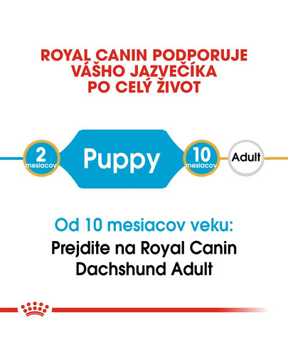 ROYAL CANIN Dachshund Puppy 1,5 kg granule pre šteňa jazvečíka