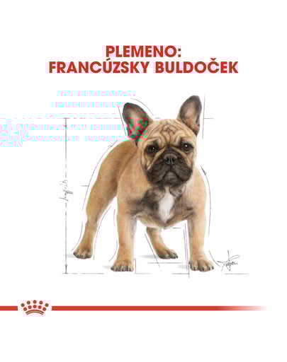 ROYAL CANIN French Bulldog Adult 1,5 kg granule pre dospelého francúzskeho buldočka