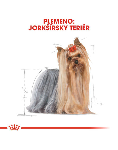 ROYAL CANIN Yorkshire Adult 500g