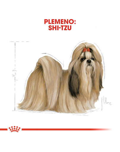 ROYAL CANIN Shih Tzu Adult 500g granule pre dospelého Shih Tzu