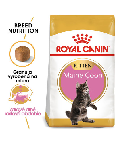 ROYAL CANIN Maine Coon Kitten 10kg granule pre mainské mývalie mačiatka