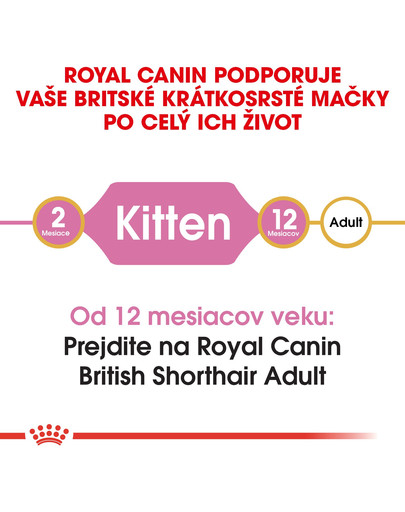 ROYAL CANIN British Shorthair Kitten 200g granule pre britské krátkosrsté mačiatka