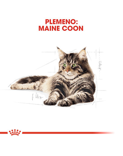 ROYAL CANIN Maine Coon Loaf 85g  kapsička s paštétou pre mainskú mývaliu mačku