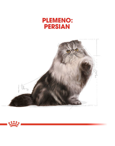 ROYAL CANIN Persian Adult 4kg granule pre dospelé perzské mačky