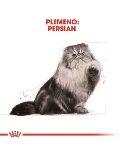ROYAL CANIN Persian Adult 10kg granule pre dospelé perzské mačky