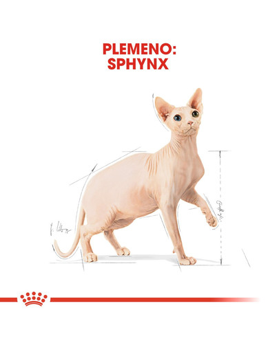 ROYAL CANIN Sphynx Adult 400g granule pre sphynx mačky