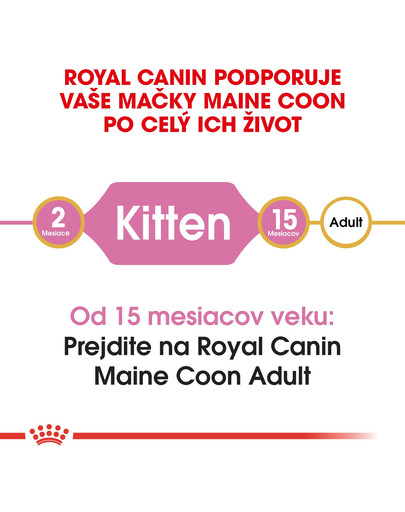 ROYAL CANIN Maine Coon Kitten 400g granule pre mainské mývalie mačiatka