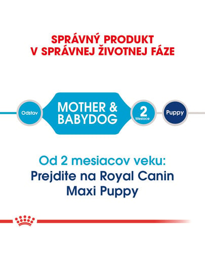 ROYAL CANIN Maxi Starter Mother & Babydog 15kg granule pre brezivé alebo dojčiace suky a šteňatá