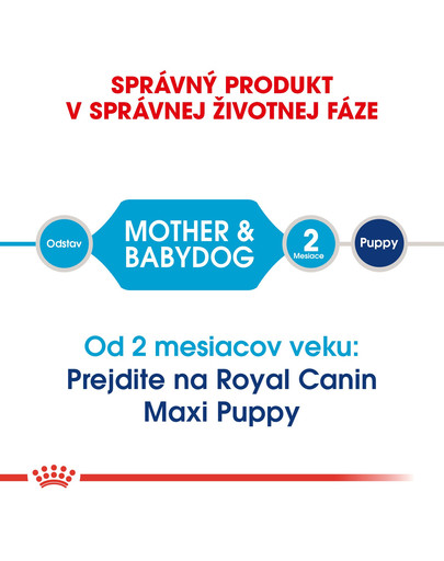 ROYAL CANIN Maxi Starter Mother & Babydog 4kg granule pre brezivé alebo dojčiace suky a šteňatá