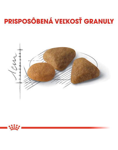 ROYAL CANIN Savour Exigent 4kg granule pre maškrtné mačky