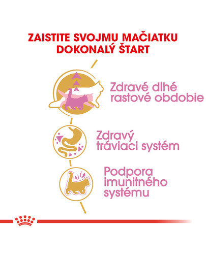 ROYAL CANIN Maine Coon Kitten 4kg granule pre mainské mývalie mačiatka