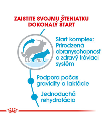 ROYAL CANIN Maxi Starter Mother & Babydog 4kg granule pre brezivé alebo dojčiace suky a šteňatá