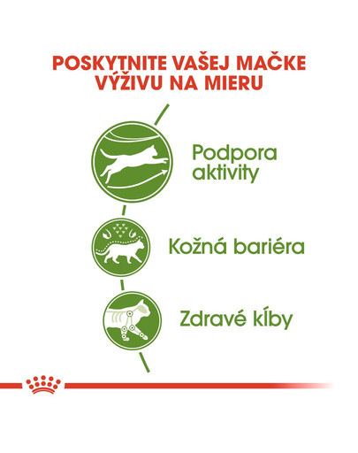 ROYAL CANIN Outdoor 4kg granule pre mačky s častým pohybom vonku
