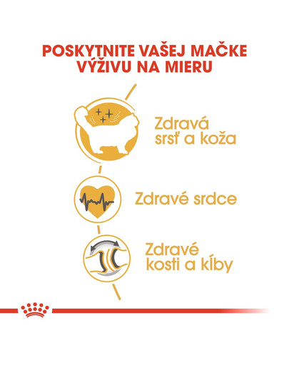 ROYAL CANIN Ragdoll Adult 2kg granule pre ragdoll mačky